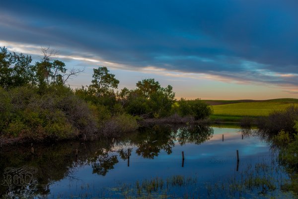 Dusk: Uncle Gary's Slough : 2013 Edition