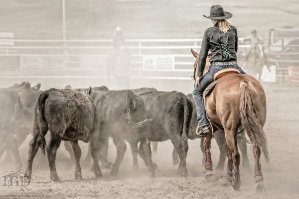 Gooseberry Lake : 4-H Rodeo 2013 : Refill
