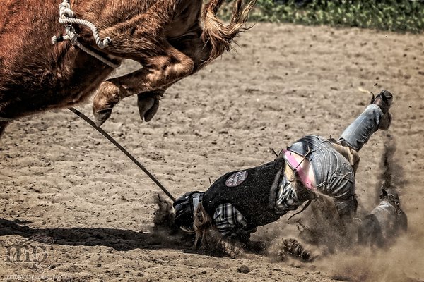 Gooseberry Lake : 4-H Rodeo 2013 : All Kinds of Ouch