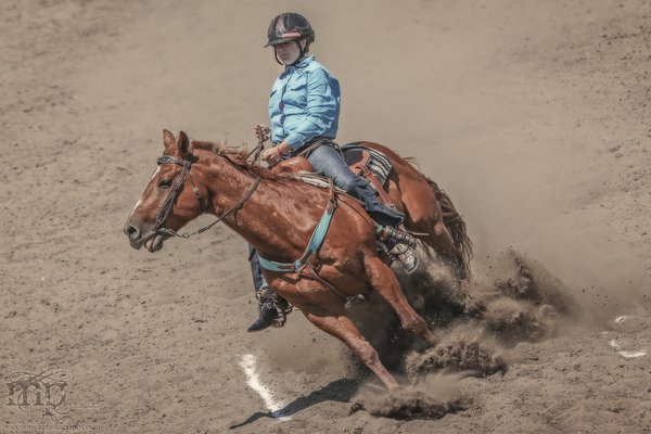 Gooseberry Lake : 4-H Rodeo 2013 : Stops On A Dime