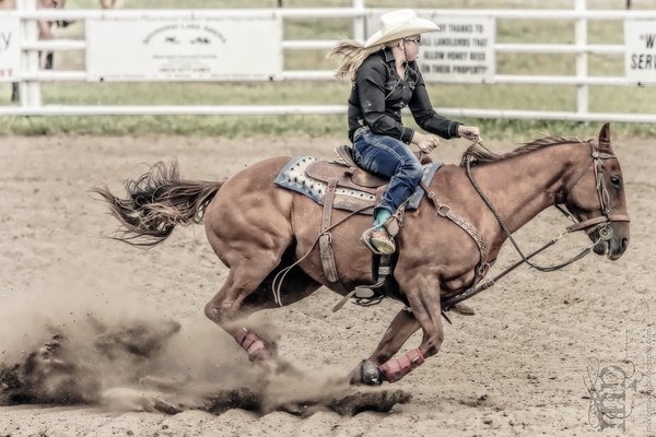 Gooseberry Lake : 4-H Rodeo 2013 : Des : Full Speed Ahead