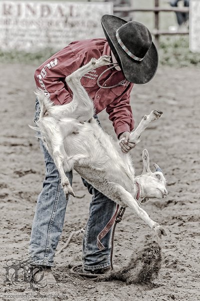 Gooseberry Lake : 4-H Rodeo 2013 : Heads or Tails