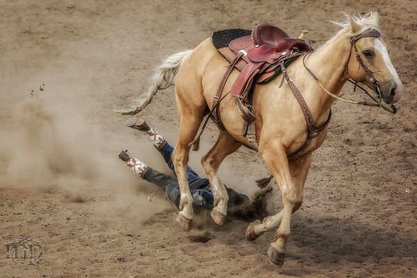 Gooseberry Lake : 4-H Rodeo 2013 : Discount Dismount