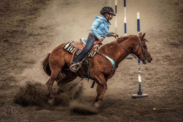 Gooseberry Lake : 4-H Rodeo 2013 : There Is No Pole