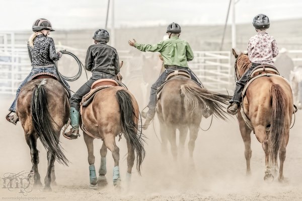 Gooseberry Lake : 4-H Rodeo 2013 : Pushing Back