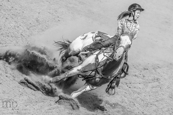 Gooseberry Lake : 4-H Rodeo 2013 : Sidewinder