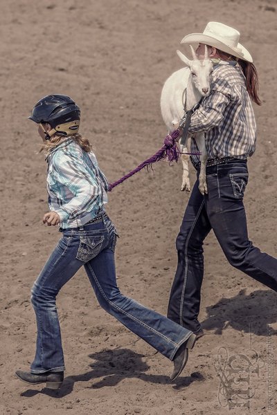 Gooseberry Lake : 4-H Rodeo 2013 : They'll Get Your Goat