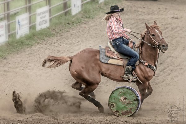 Gooseberry Lake : 4-H Rodeo 2013 : Yoink!