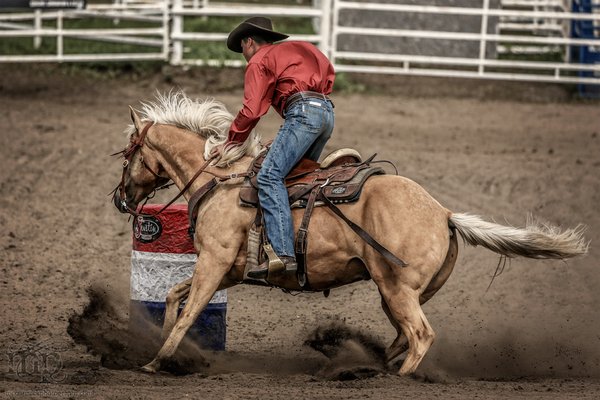 Gooseberry Lake : 4-H Rodeo 2013 : Round She Goes