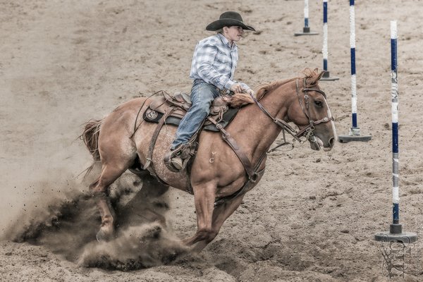 Gooseberry Lake : 4-H Rodeo 2013 : Churned Dirt