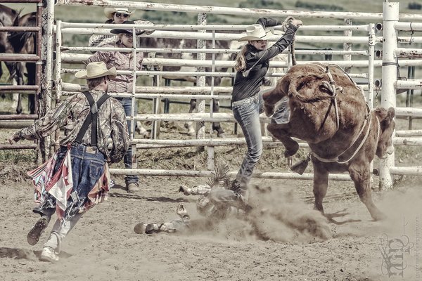 Gooseberry Lake : 4-H Rodeo 2013 : Des : Think Fast