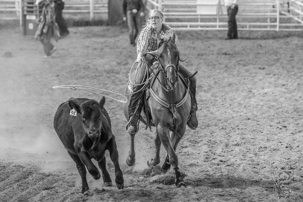 Gooseberry Lake : 4-H Rodeo 2013 : Des : Lasso You