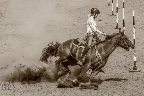 Gooseberry Lake : 4-H Rodeo 2013 : Vroom Vroom
