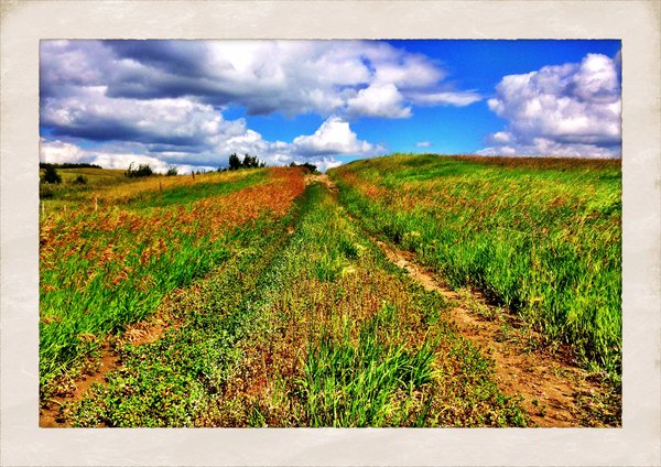 Walk to Cayno School : The Road to Cayno [4 of 5]