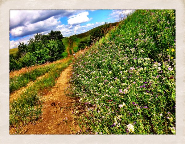 Walk to Cayno School : The Road to Cayno [3 of 5]