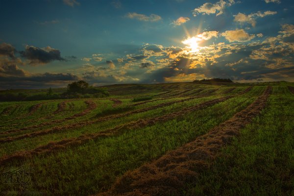 July 24, 2013 : The Golden Hour