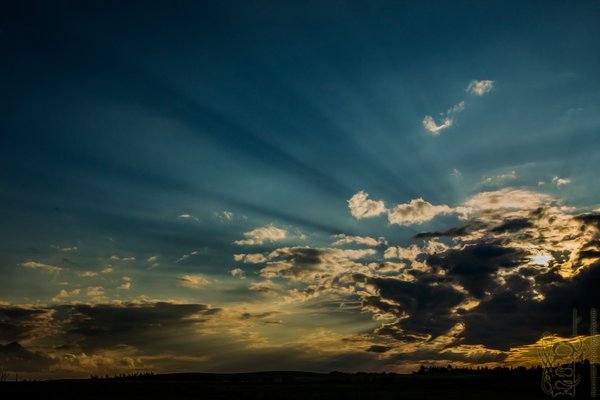 July 24, 2013 : Waiting for the sweet light