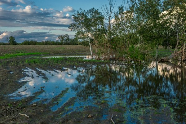 July 24, 2013 : Soaked Field : Farmin' Ain't Easy
