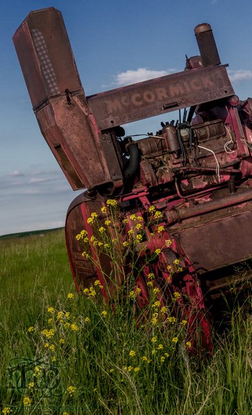 I-H / McCormick : No. 141 Harvester / Thresher : Portrait