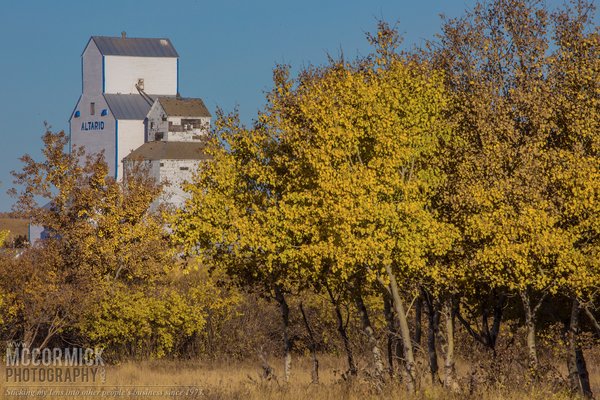 Fall 2013 : Altario Elevator Showing Its Colours