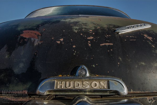 Hudson Wasp : This Might Sting A Bit