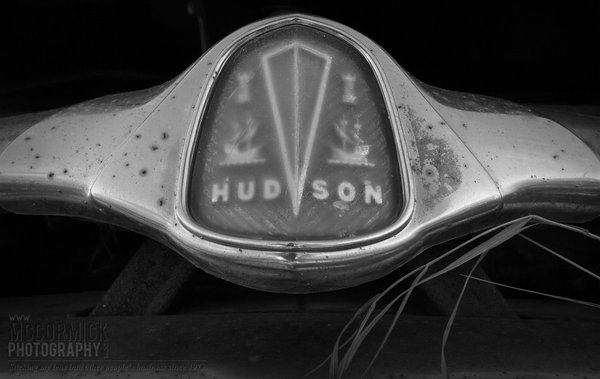 Hudson Wasp : Show Me Your Badge