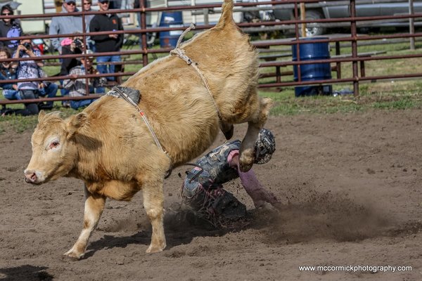 20140531-142903-2F8A9712-Canon EOS 5D Mark III