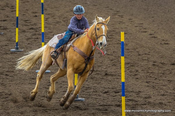 20140601-084013-2F8A1031-Canon EOS 5D Mark III