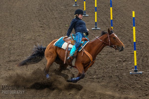 Gooseberry Lake : 4-H Rodeo 2014 : Half Measures Availed Us Nothing
