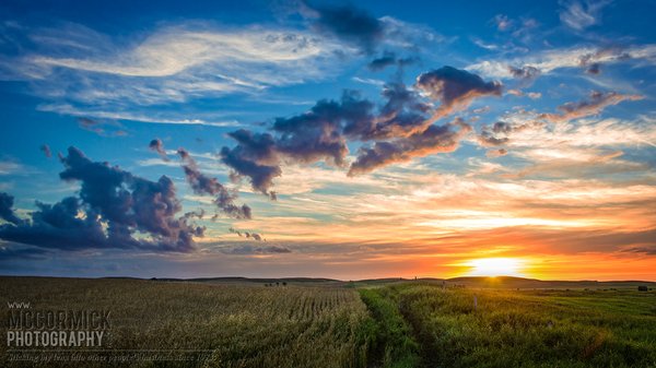 Sunset : Aug 29, 2014
