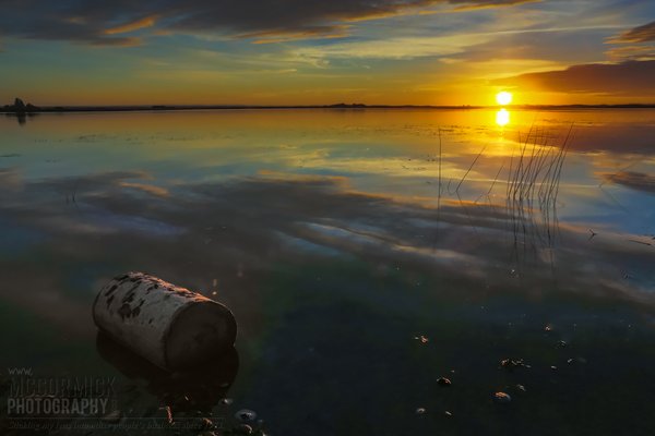 Fox Lake 2014 : When firewood goes AWOL