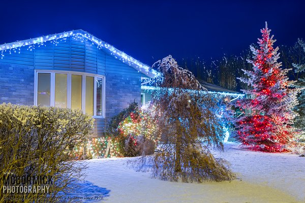 Christmas Lights 2014 : Hanna AB : 6 of 19