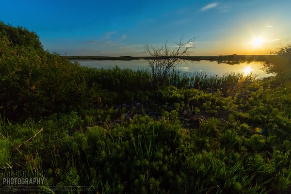 Prairie Oasis : 2015-06-06 : Sunrise 1 of 3