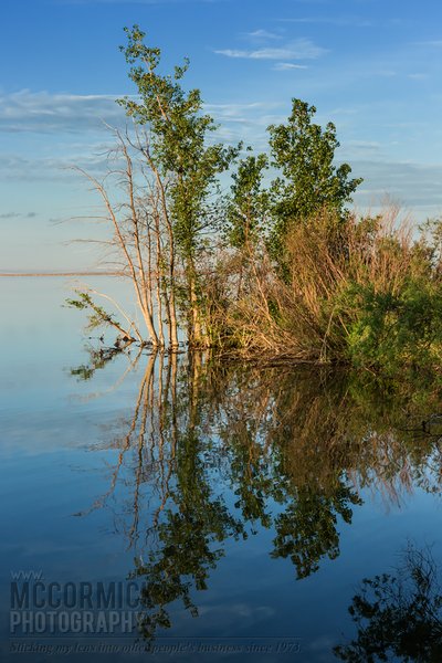 Prairie Oasis : 2015-06-06 : Reflection 2 of 3