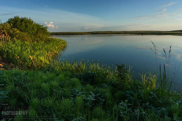 Prairie Oasis : 2015-06-06 : The Sweet Light 1 of 3