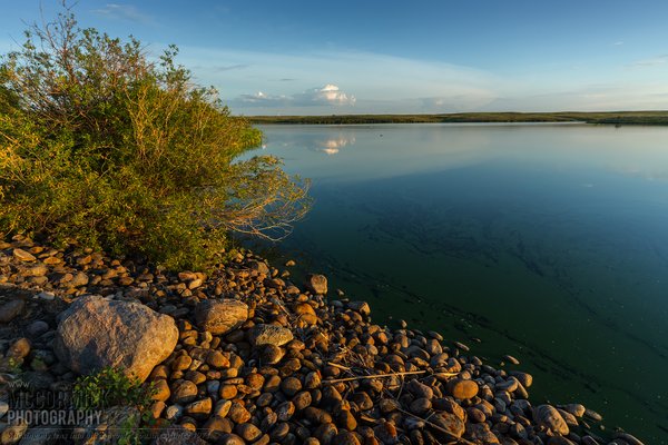 Prairie Oasis : 2015-06-06 : The Sweet Light 2 of 3