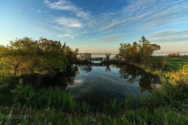 Prairie Oasis : 2015-06-06 : Reflecting Pond 1 of 4