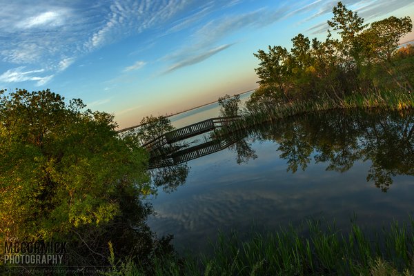 Prairie Oasis : 2015-06-06 : Reflecting Pond 2 of 4