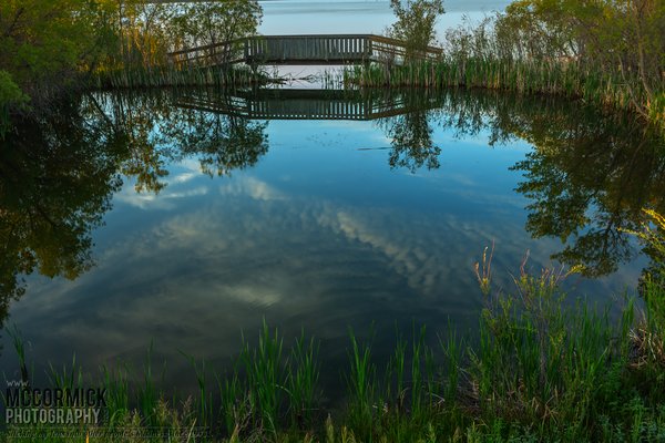 Prairie Oasis : 2015-06-06 : Reflecting Pond 3 of 4
