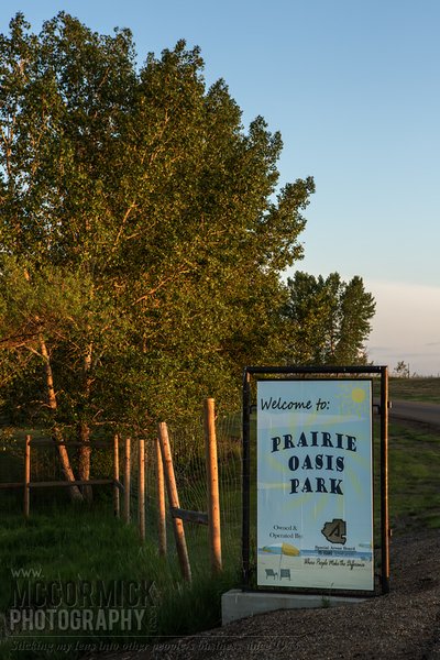 Prairie Oasis : 2015-06-06 : Howdy Howdy Howdy