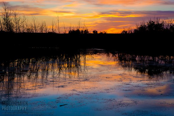 Slough Sunset : 2015-06-07 : 1 of 3