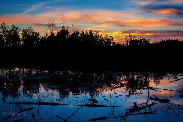 Slough Sunset : 2015-06-07 : 2 of 3