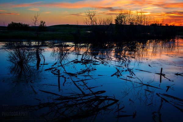 Slough Sunset : 2015-06-07 : 3 of 3