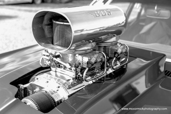 20150621-092358-2F8A3114-Canon EOS 5D Mark III