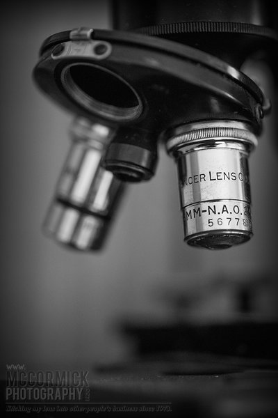 Under the Microscope
