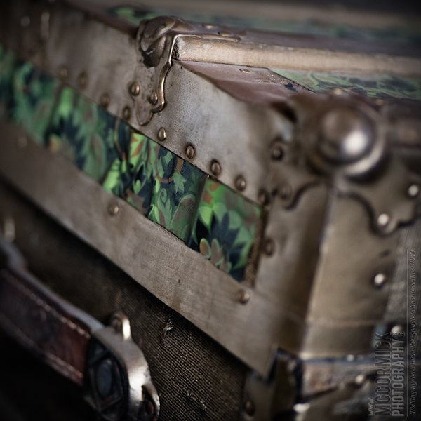 Steamer Trunk Detail [4 of 6]