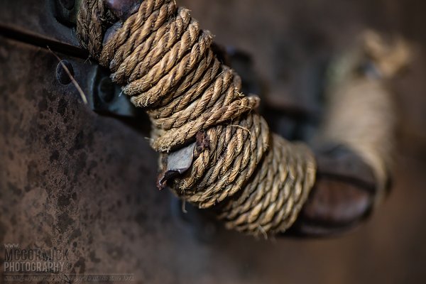 Steamer Trunk Detail [5 of 6]