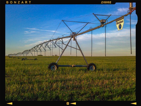 Irrigation setup, Wheatland County, 2024-09-18