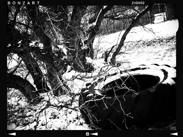 Oh so tired, Nightingale Hall, Nightingale, Alberta, 2024-02-25