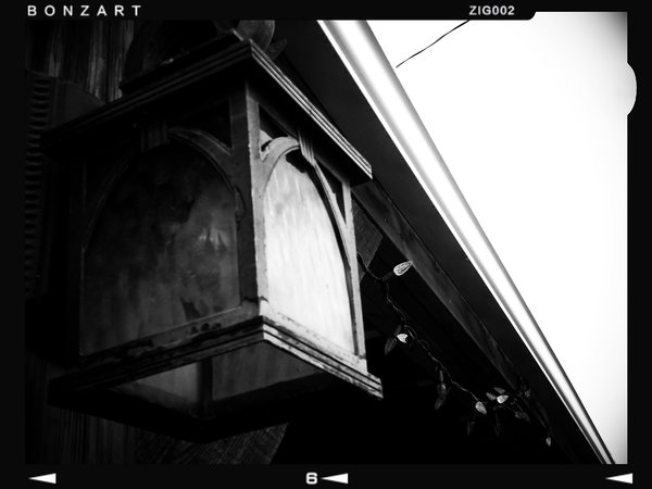Seeing the light, Nightingale Hall, Nightingale, Alberta, 2024-02-25
